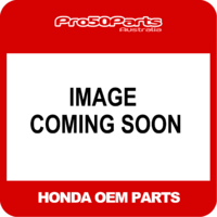 (Honda OEM) ROLLER, 2.5X10